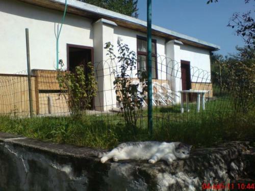Pronajem Pokoju Belle Vue Apartment Vranov nad Dyji Bagian luar foto